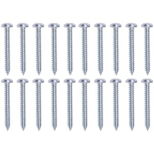 Parafuso Autoatarraxante 3,5 X 25Mm 20 Peças Worker
